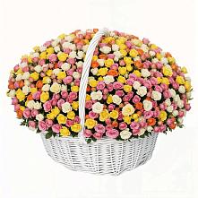 Премиум букет из: Розы в Вихоревке