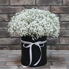 Цветочная композиция из Гипсофила в шляпной коробке в Вихоревке