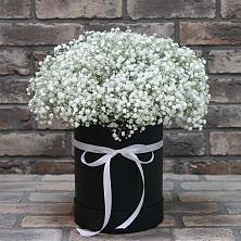 Цветочная композиция из Гипсофила в шляпной коробке в Вихоревке